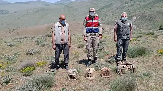Elazığ'da kaçak avda yakalanan 3 şahsa işlem yapıldı