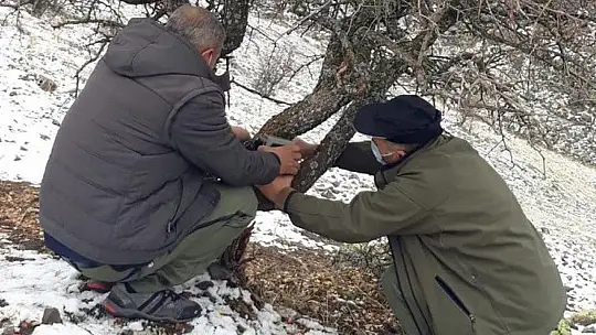 Elazığ'da kaçak avlanma ile mücadele