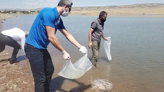 Elazığ'da Kalecik Barajı'na 5 bin sazan yavrusu bırakıldı