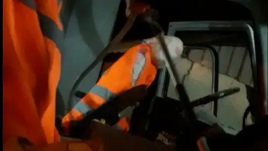 Elazığ'da kamyonun kabininden yılan çıktı