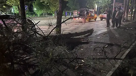 Elazığ'da kontrolden çıkan otomobil ağacı devirdi: 3 yaralı