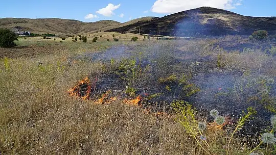 Elazığ'da korkutan yangın 40 dönüm otluk alan kül oldu