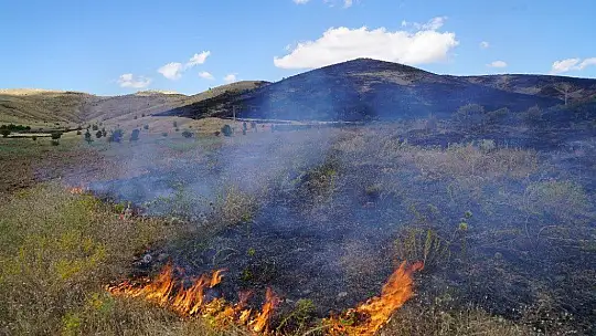 Elazığ'da korkutan yangın 40 dönüm otluk alan kül oldu