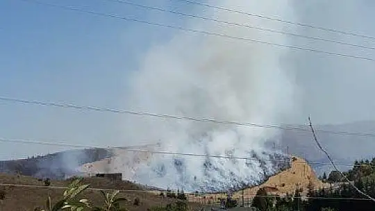 Elazığ'da korkutan yangın 40 dönüm otluk alan kül oldu