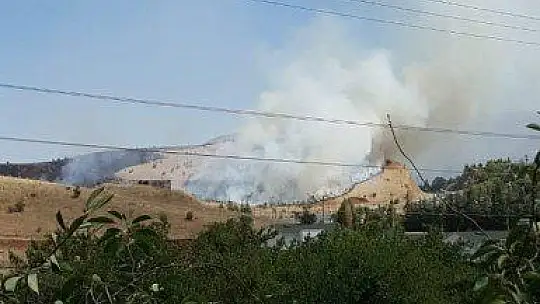 Elazığ'da korkutan yangın 40 dönüm otluk alan kül oldu