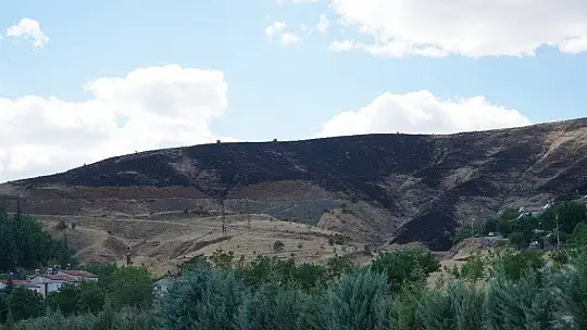 Elazığ'da korkutan yangın 40 dönüm otluk alan kül oldu
