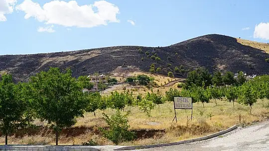 Elazığ'da korkutan yangın 40 dönüm otluk alan kül oldu