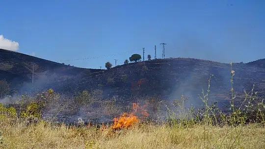 Elazığ'da korkutan yangın 40 dönüm otluk alan kül oldu