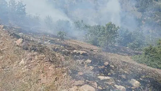 Elazığ'da korkutan yangın