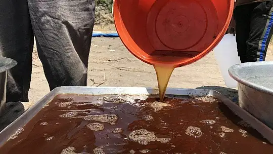 Elazığ'da köylerde doğal pekmez yapımı başladı