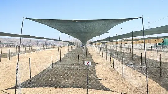 Elazığ'da kurban satış ve kesim yerleri hazırlanıyor