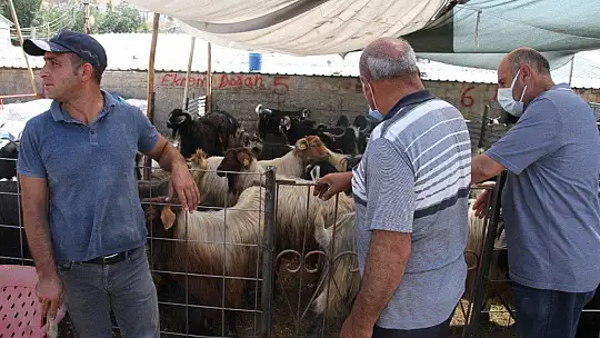 Elazığ'da kurbanlık satışları devam ediyor