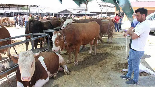 Elazığ'da kurbanlık satışları devam ediyor