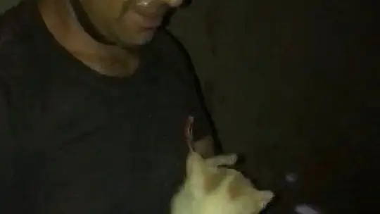 Elazığ'da kuyuya düşen kedi kurtarıldı