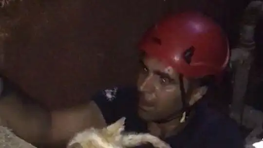 Elazığ'da kuyuya düşen kedi kurtarıldı