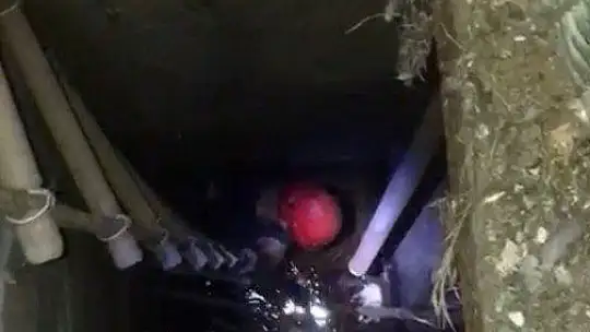 Elazığ'da kuyuya düşen kedi kurtarıldı