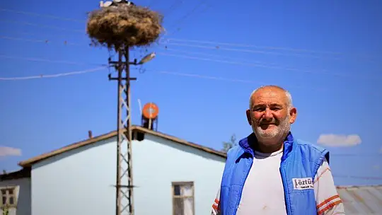 Elazığ'da leyleklerin yavruları büyüdü, göç hazırlığı başladı