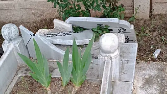Elazığ'da mezar taşları kırıldı