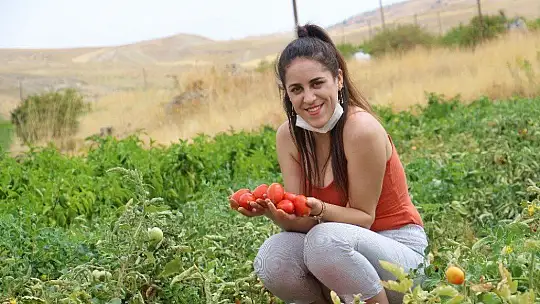 Elazığ'da, müşteriler tarlada kendi sebzesini toplayarak satın alıyor