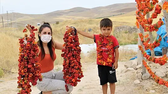 Elazığ'da, müşteriler tarlada kendi sebzesini toplayarak satın alıyor