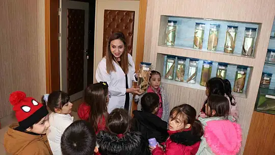 Elazığ'da öğrenciler Balık Müzesini gezdi