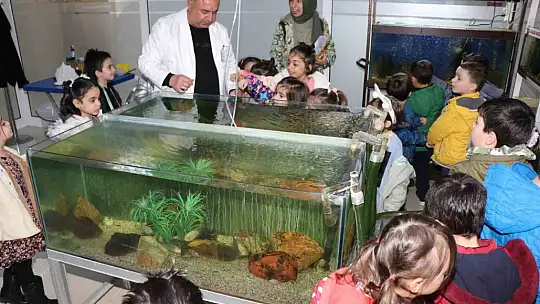 Elazığ'da öğrenciler Balık Müzesini gezdi