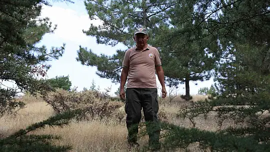 Elazığ'da orman ekipleri, havadan ve karadan denetimlerini sürdürüyor