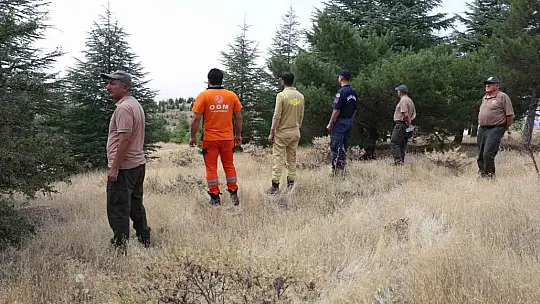 Elazığ'da orman ekipleri, havadan ve karadan denetimlerini sürdürüyor