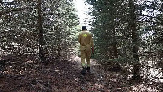 Elazığ'da orman ekipleri, havadan ve karadan denetimlerini sürdürüyor