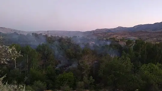 Elazığ'da orman yangını, 30 dönüm zarar gördü