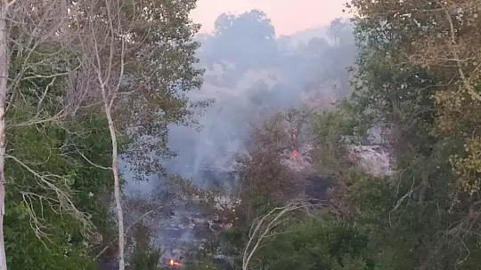 Elazığ'da orman yangını, 30 dönüm zarar gördü