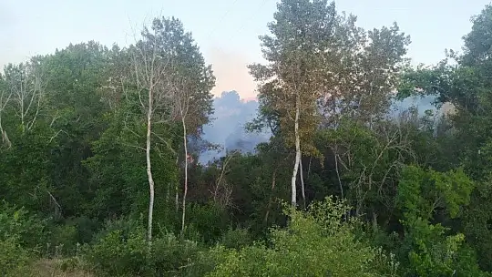 Elazığ'da orman yangını, 30 dönüm zarar gördü
