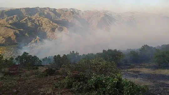 Elazığ'da orman yangını: Çok sayıda ekip sevk edildi