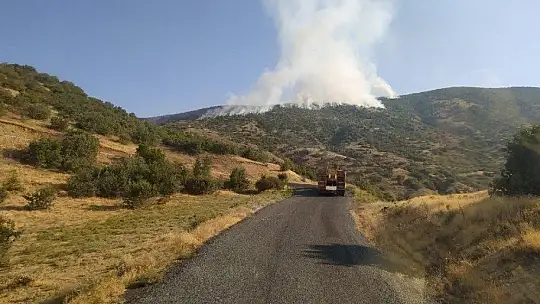 Elazığ'da orman yangını: Çok sayıda ekip sevk edildi