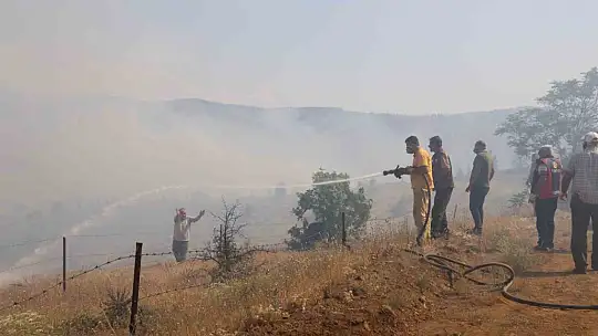 Elazığ'da orman yangını kontrol altına alındı, yüzlerce dönümlük alan kül oldu