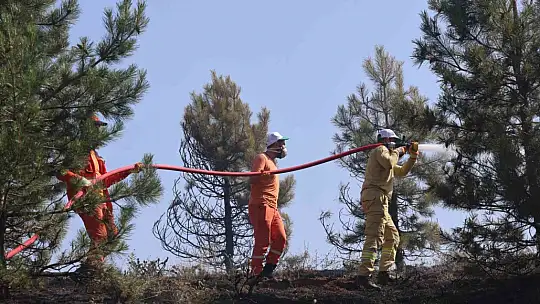 Elazığ'da orman yangını kontrol altına alındı, yüzlerce dönümlük alan kül oldu