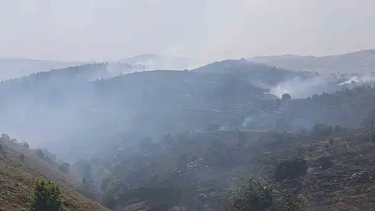 Elazığ'da orman yangını kontrol altına alındı, yüzlerce dönümlük alan kül oldu
