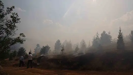 Elazığ'da orman yangını kontrol altına alındı, yüzlerce dönümlük alan kül oldu