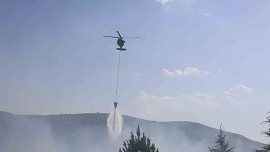 Elazığ'da orman yangını kontrol altına alındı, yüzlerce dönümlük alan kül oldu