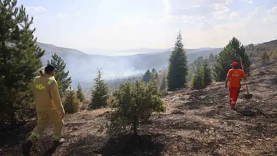 Elazığ'da orman yangını kontrol altına alındı, yüzlerce dönümlük alan kül oldu