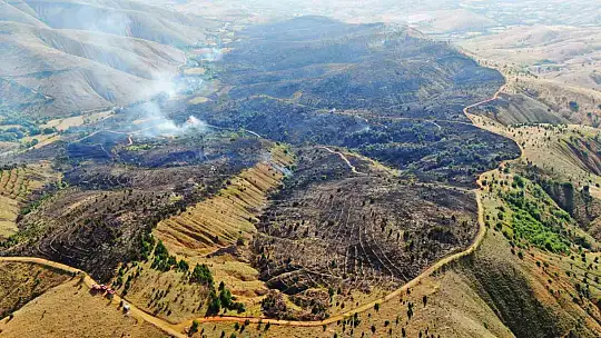 Elazığ'da orman yangını kontrol altına alındı, yüzlerce dönümlük alan kül oldu