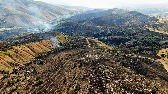 Elazığ'da orman yangını kontrol altına alındı, yüzlerce dönümlük alan kül oldu