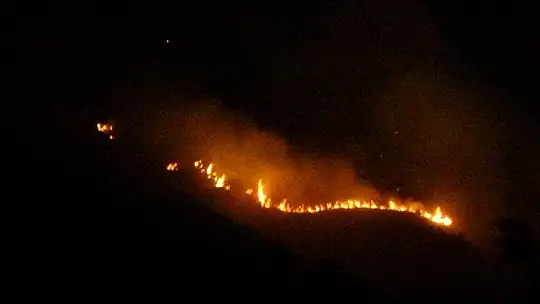 Elazığ'da orman yangını, müdahale sürüyor