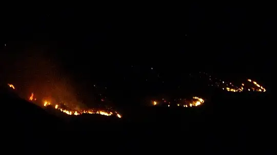 Elazığ'da orman yangını, müdahale sürüyor