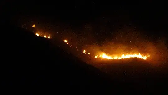 Elazığ'da orman yangını, müdahale sürüyor