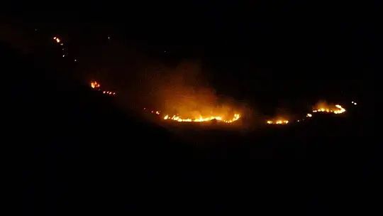Elazığ'da orman yangını, müdahale sürüyor