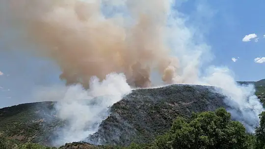 Elazığ'da orman yangını