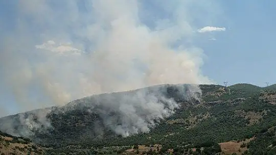 Elazığ'da orman yangını