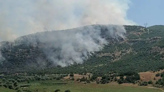 Elazığ'da orman yangını