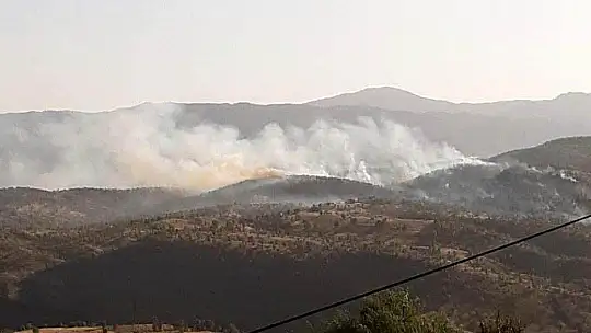 Elazığ'da orman yangını